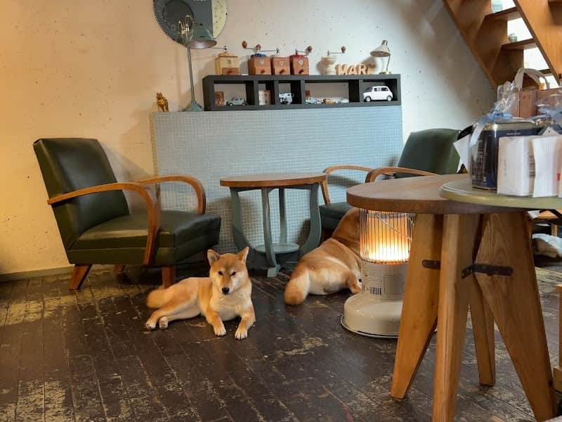 あびだるまの店内風景
