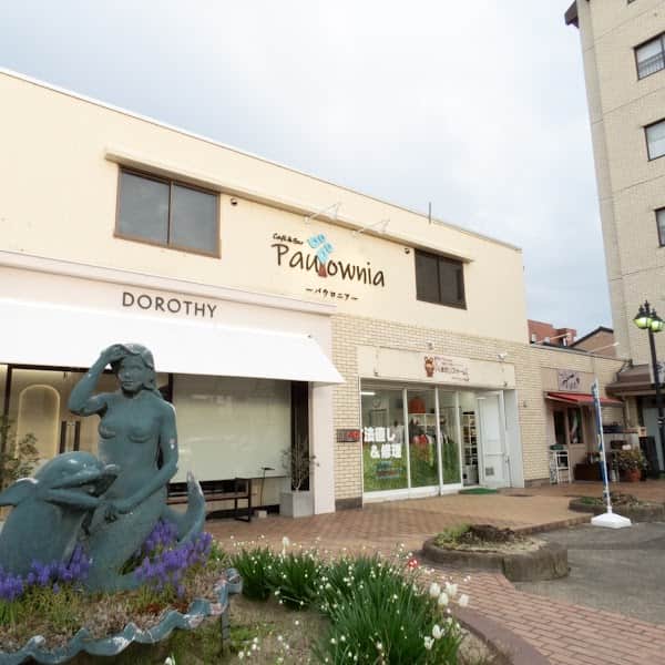 Cafe & Bar Paulownia パウロニアの店内風景