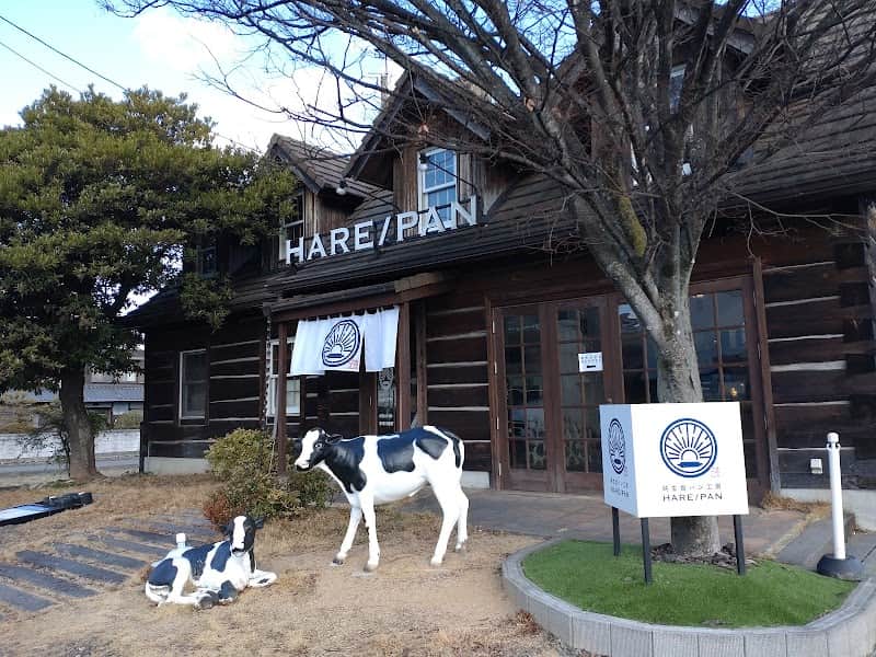 純生食パン工房 HARE/PAN 今治店の店内風景