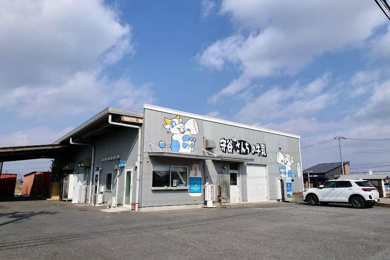 ミルク工房もりやの店内風景