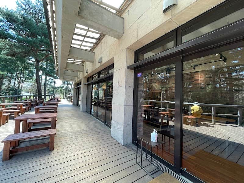 記念の森 レストハウスの店内風景