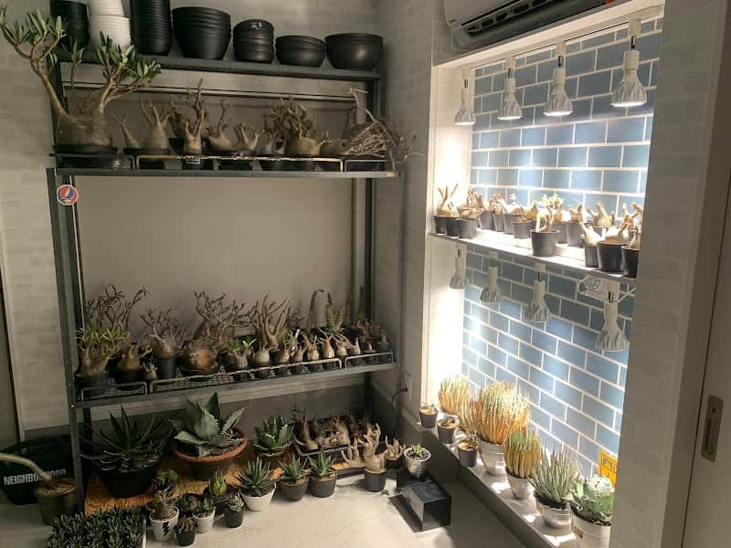 GOODTIME plants&cafeの店内風景