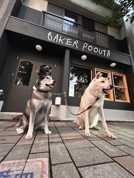 パン屋 PooUta（ポウタ）の店内風景
