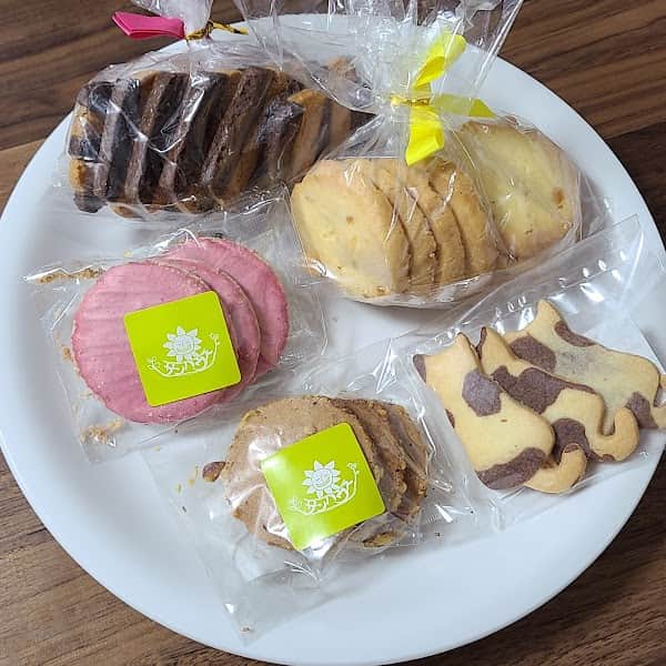 カフェサンハウスの店内風景