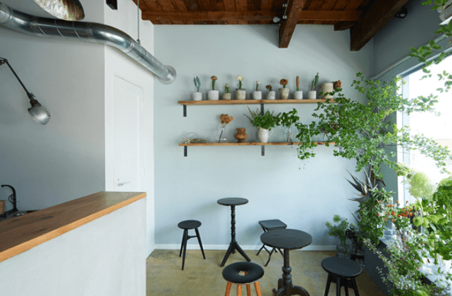 cotito ハナトオカシトの店内風景
