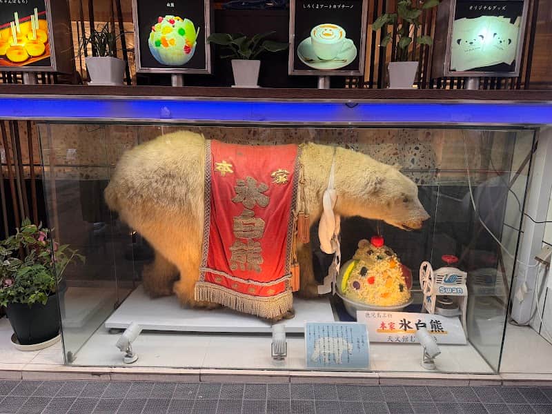 白熊菓琲 shirokuma cafeの店内風景