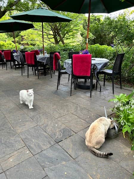 ドリプレCAFEの店内風景