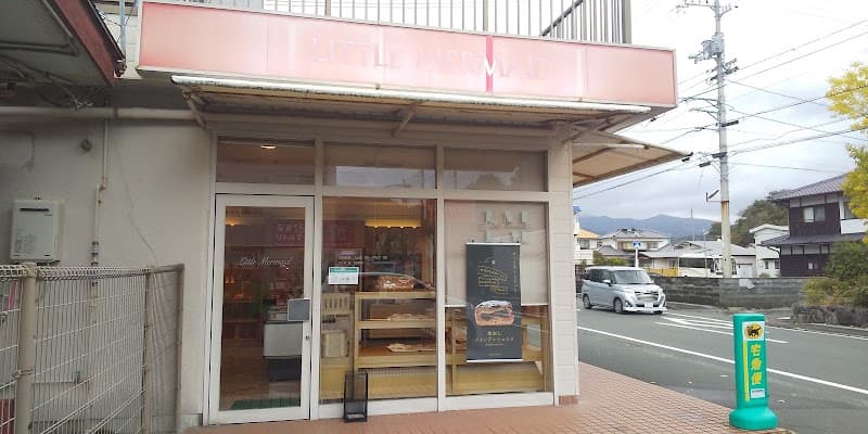 リトルマーメイド川の石店