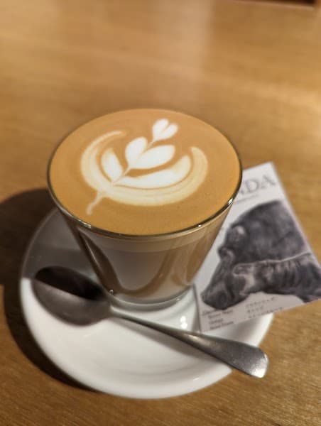 darestore coffee roastery