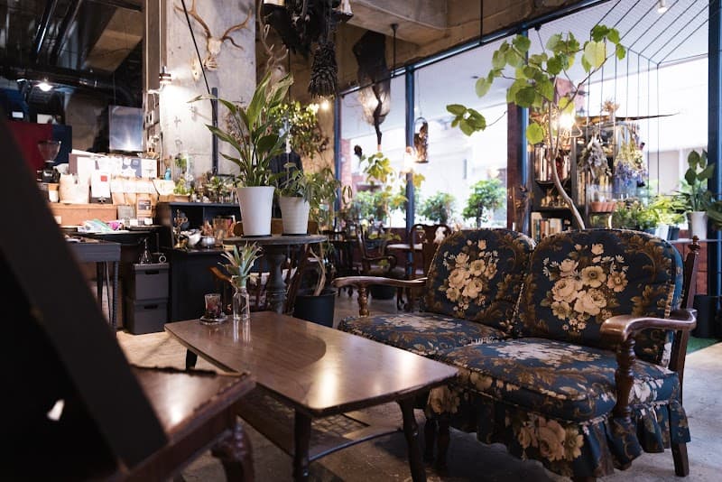 Botanicalitem & café CYAN
