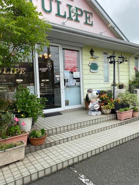 チューリップの写真