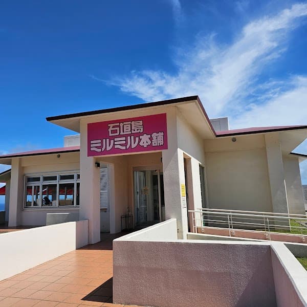 ミルミル本舗 本店