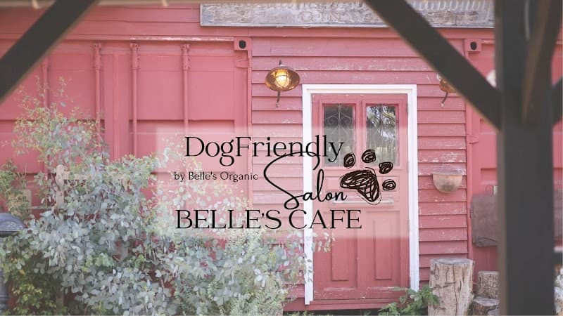 ベルズカフェ | Belle's Cafe｜酒々井ドッグランの店内風景