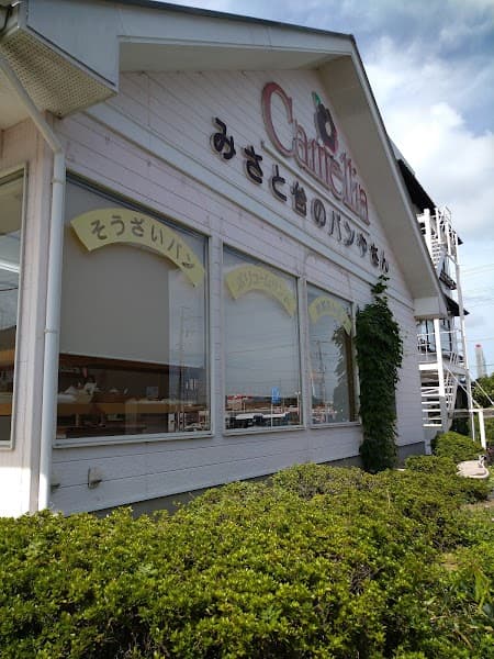 カメリアの写真