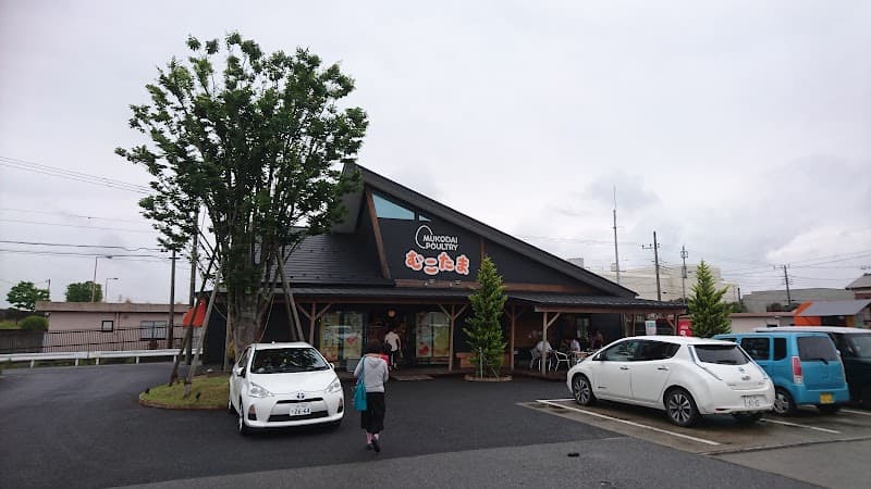 たまごのお店 むこたま 本店