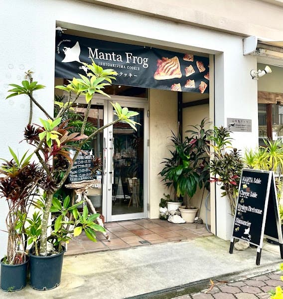 Manta Frog ISHIGAKIJIMA COOKIE