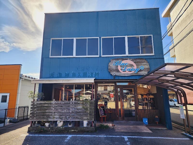 Blue Daisyの写真