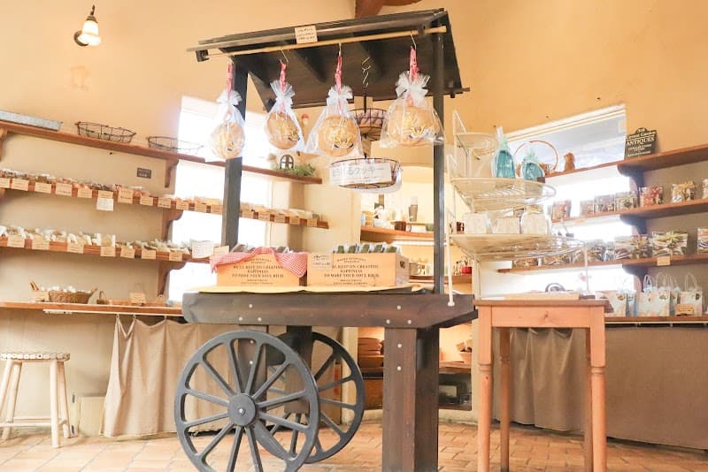 ココットの写真