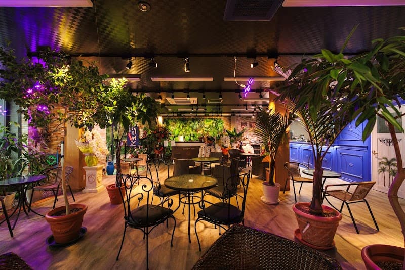 CAFE & BAR GREEN TERRACEの写真