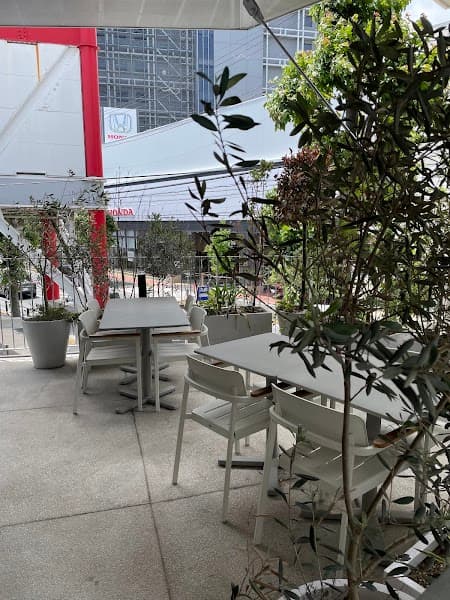 シュングルマンの店内風景